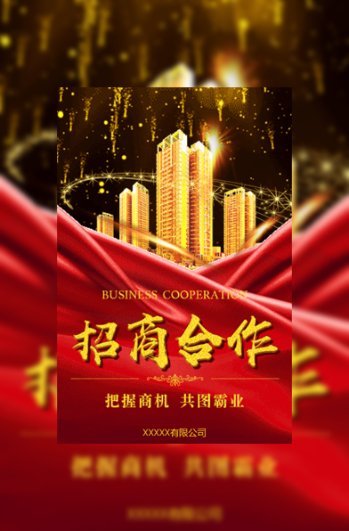 震撼高端黑金招商手册/招商合作模板